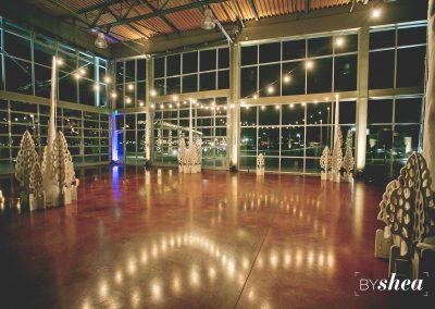 Wedding Reception Dance Floor Lighting